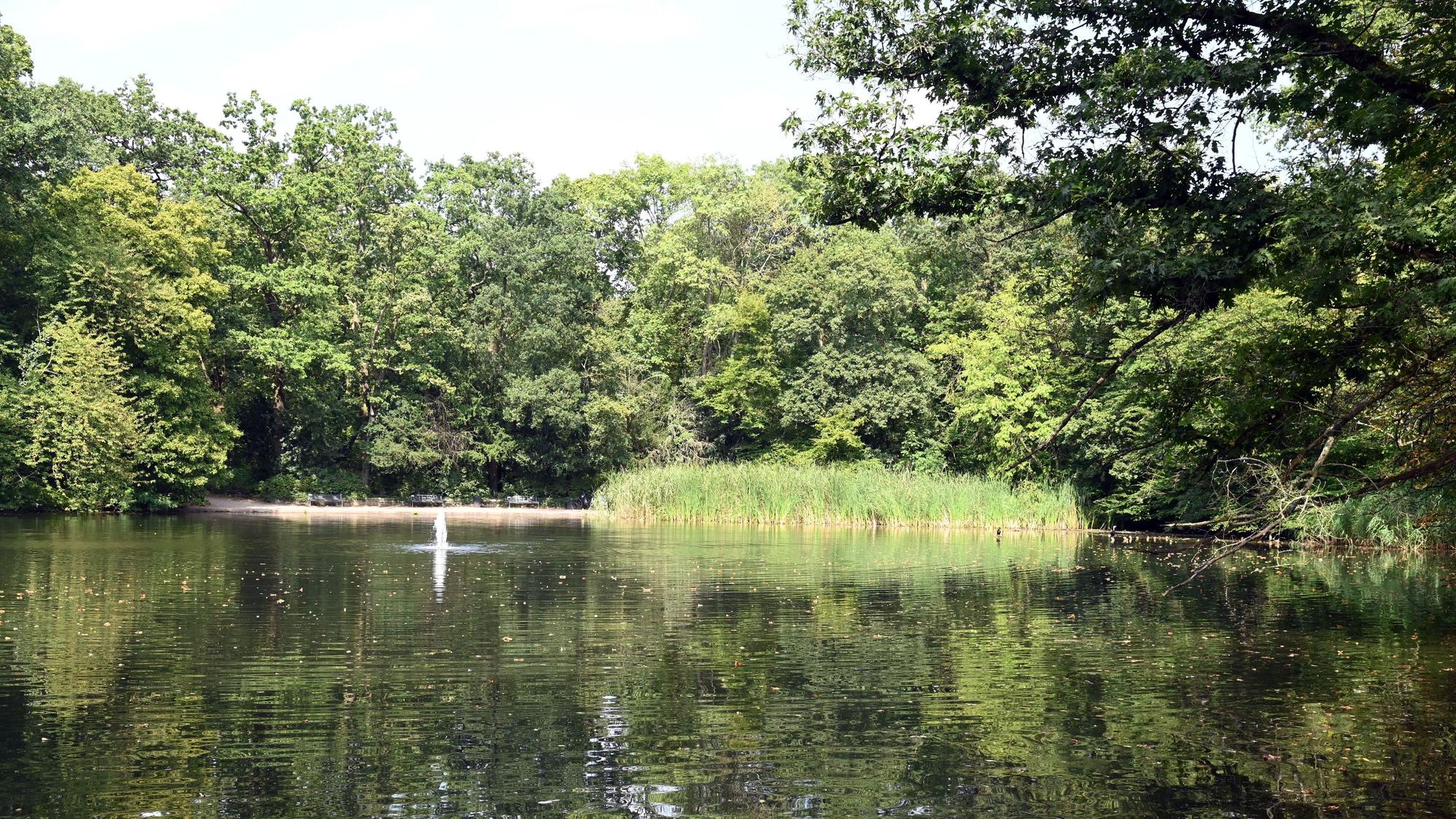 Der Stadtwaldweiher im Stadtwald