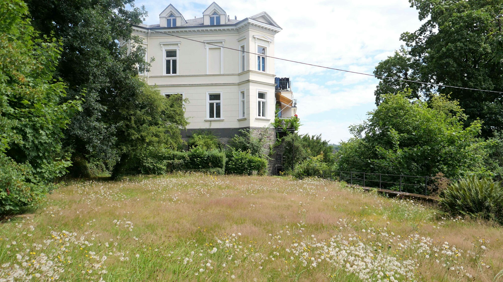 Blick auf eine alte Villa, davor eine große Rasenfläche mit Bäumen.