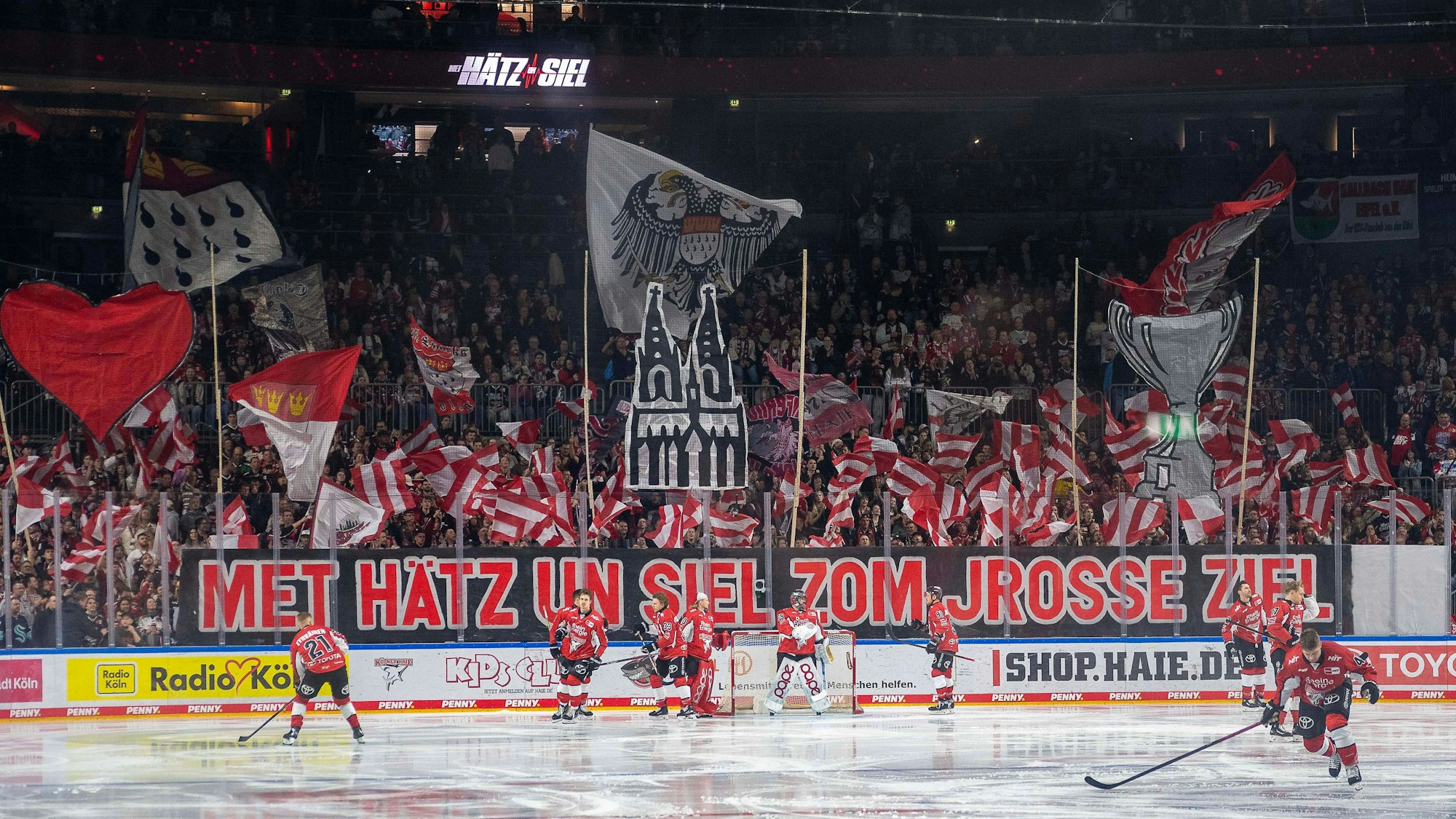 Die Kölner Fans mit einer Choreo beim zweiten Spiel der Viertelfinal-Serie 2024/2025 gegen die Fishtown Pinguins aus Bremerhaven.+