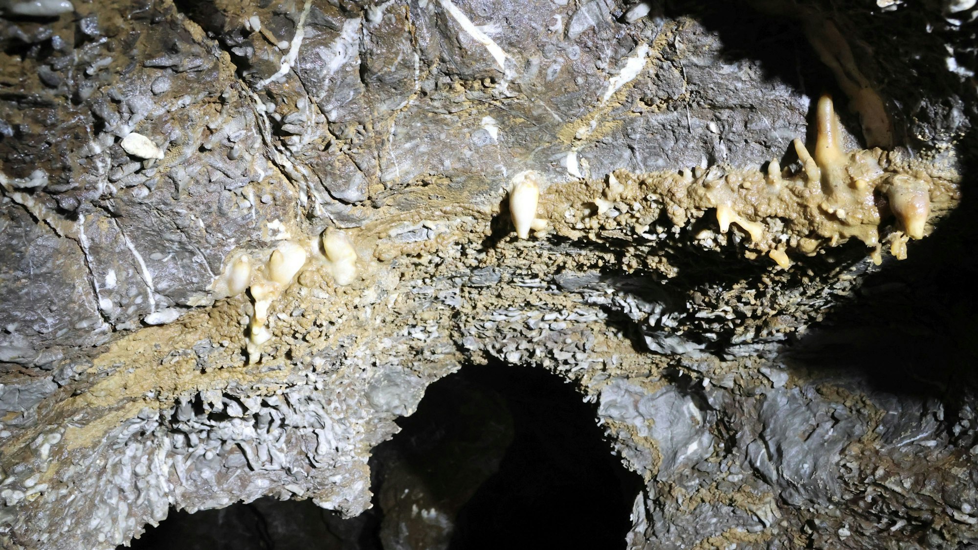 Fossile Strukturen sind in der Aggertalhöhle zu entdecken.