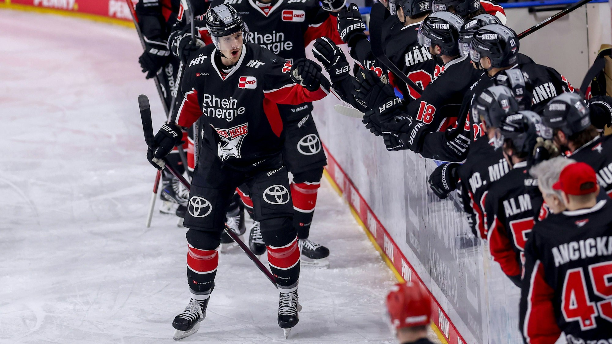 Die Kölner Haie gegen die Eisbären Berlin in der Lanxess-Arena Köln.