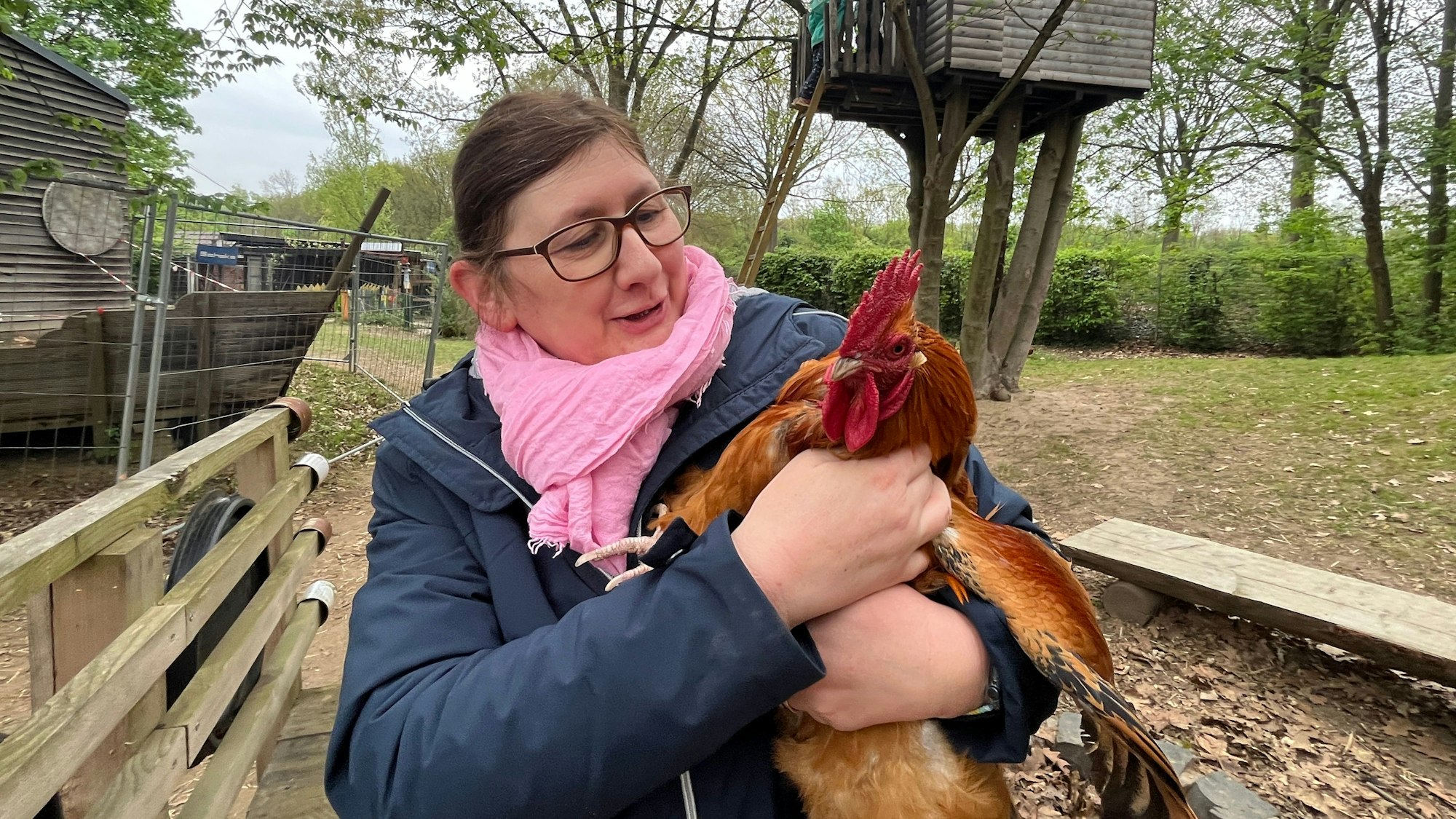 Hahn Amadeus sitzt auf dem Arm von Daniela Kraus.