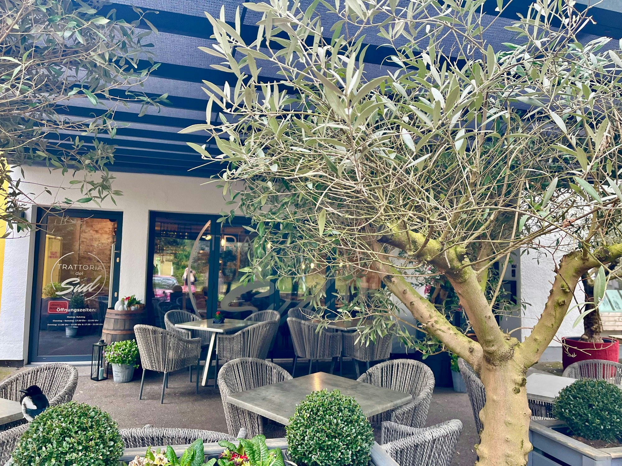 Rund 40 Terrassenplätze gibt es.