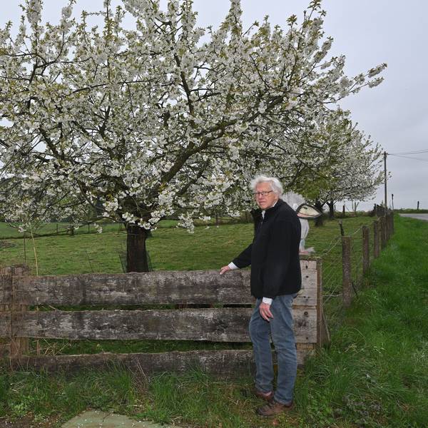 Ein Mann steht vor einer Obstwiese.