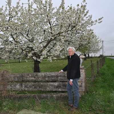 Ein Mann steht vor einer Obstwiese.