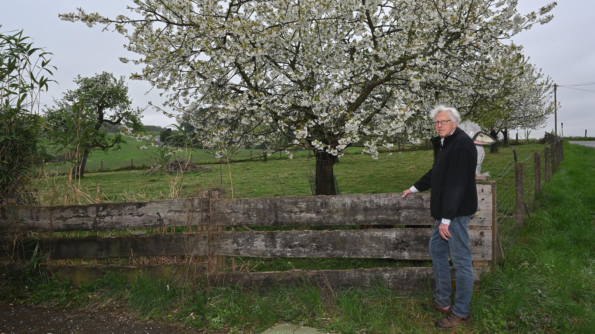 Ein Mann steht vor einer Obstwiese.