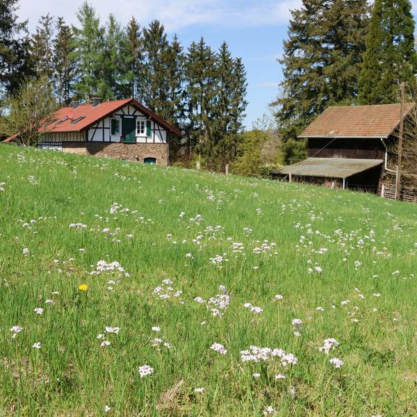Malerische Ausblicke bieten sich beim „Geo-Egging“ in Engelskirchen viele, zum Beispiel oberhalb der Ortschaft Miebach.