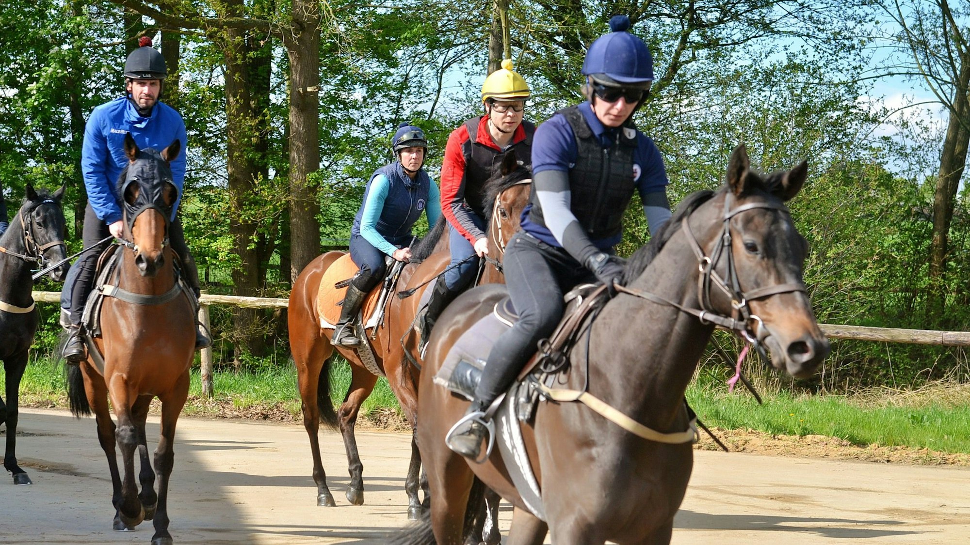 Vier Reiter mit Helmen kommen auf ihren Pferden auf den Betrachter zu.