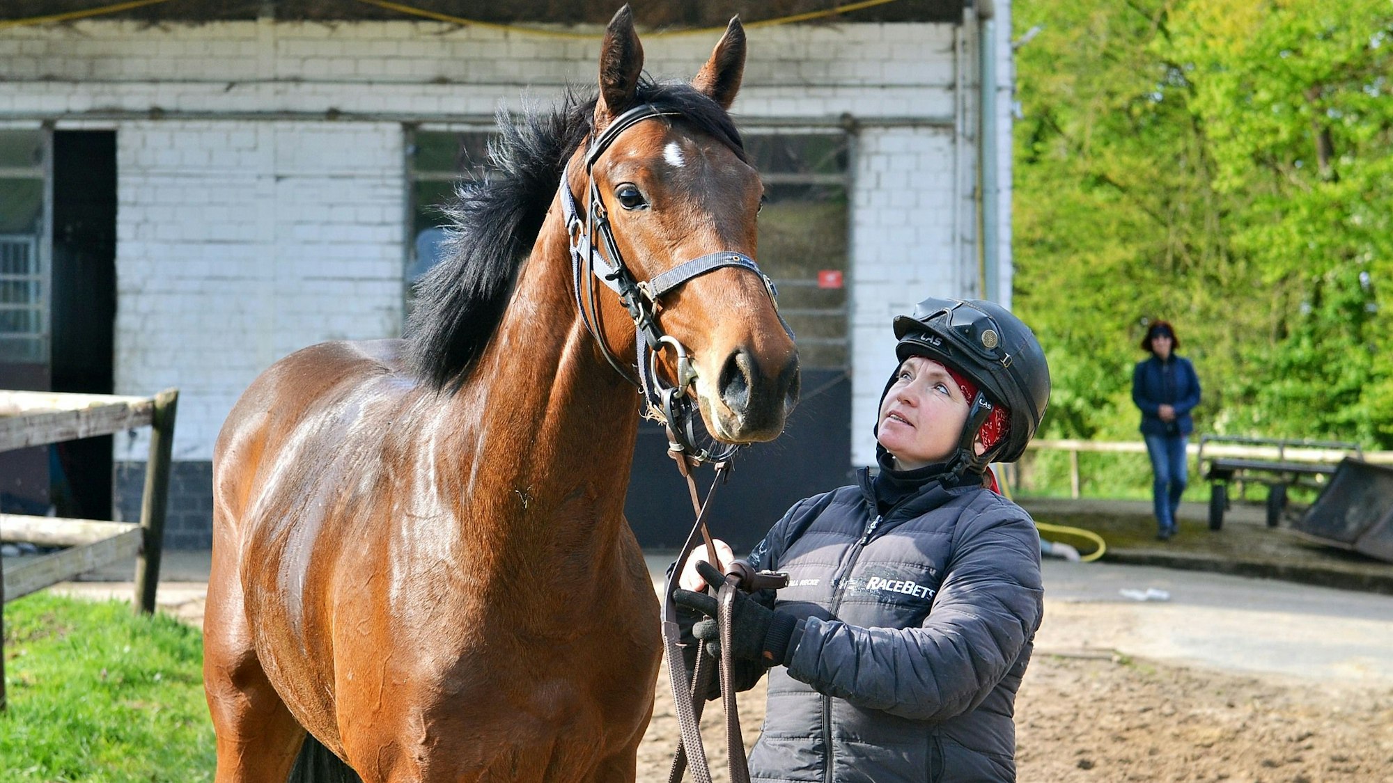 Eine Reiterin schaut auf den Kopf eines Pferdes, das sie am Zügel hält.