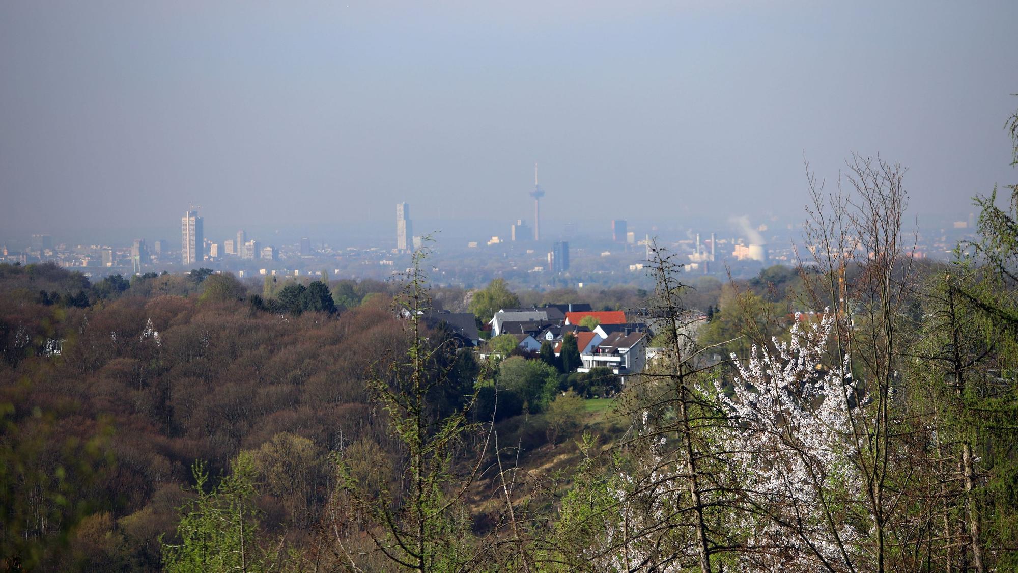 Am Horizont ist die Skyline von Köln zu sehen.