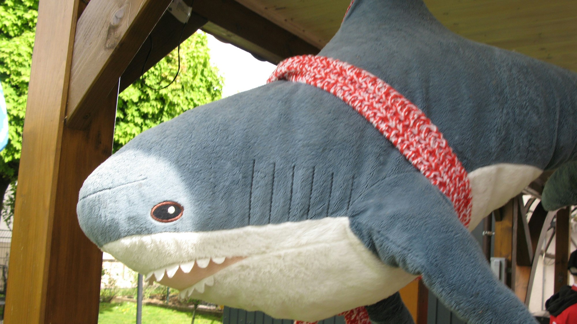 Der Hai im Carport zeigt, wem die Sympathien des Spicher Fanclubs gehören.