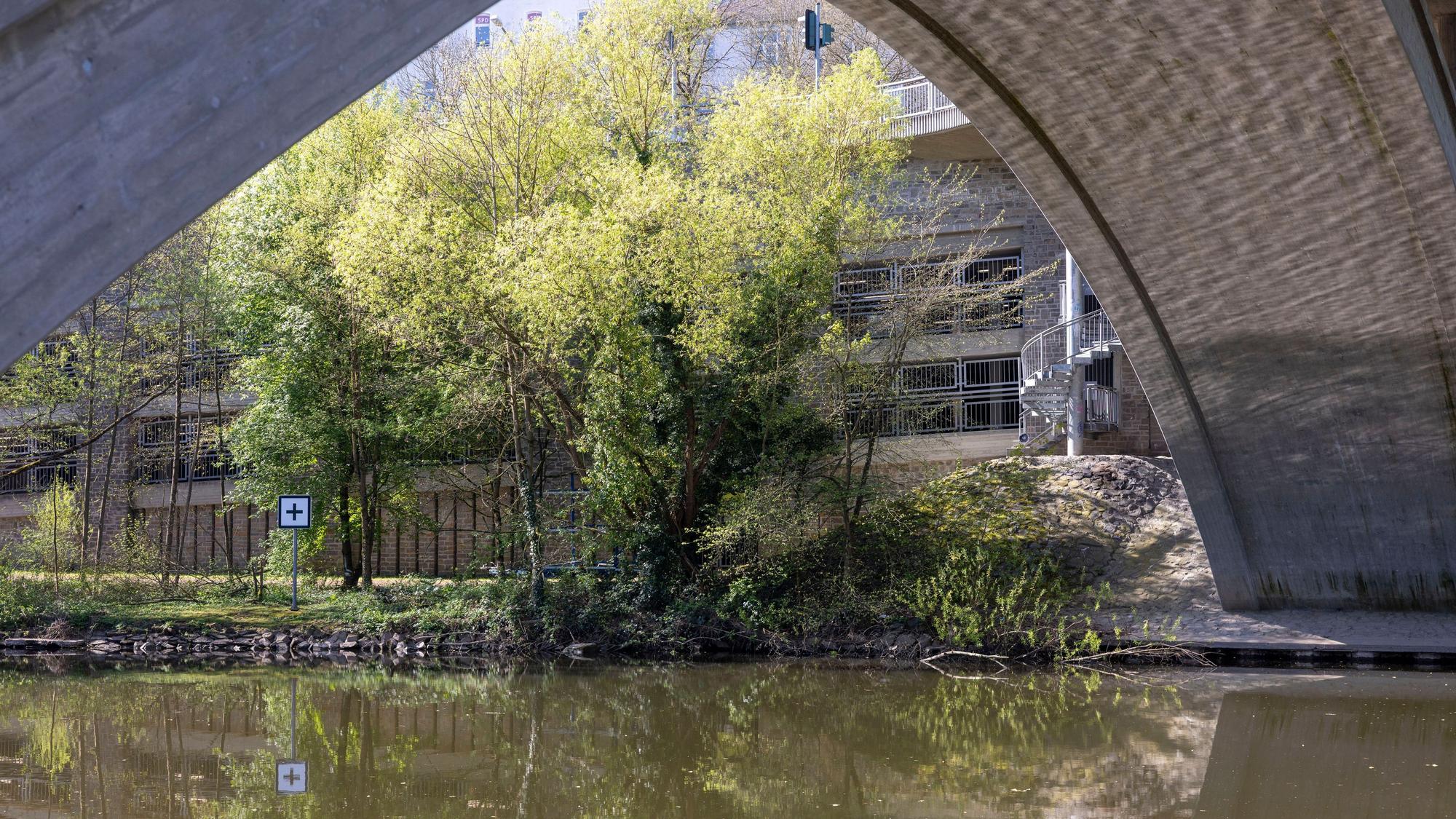 Ein Gebüsch an der Oberlahnbrücke.