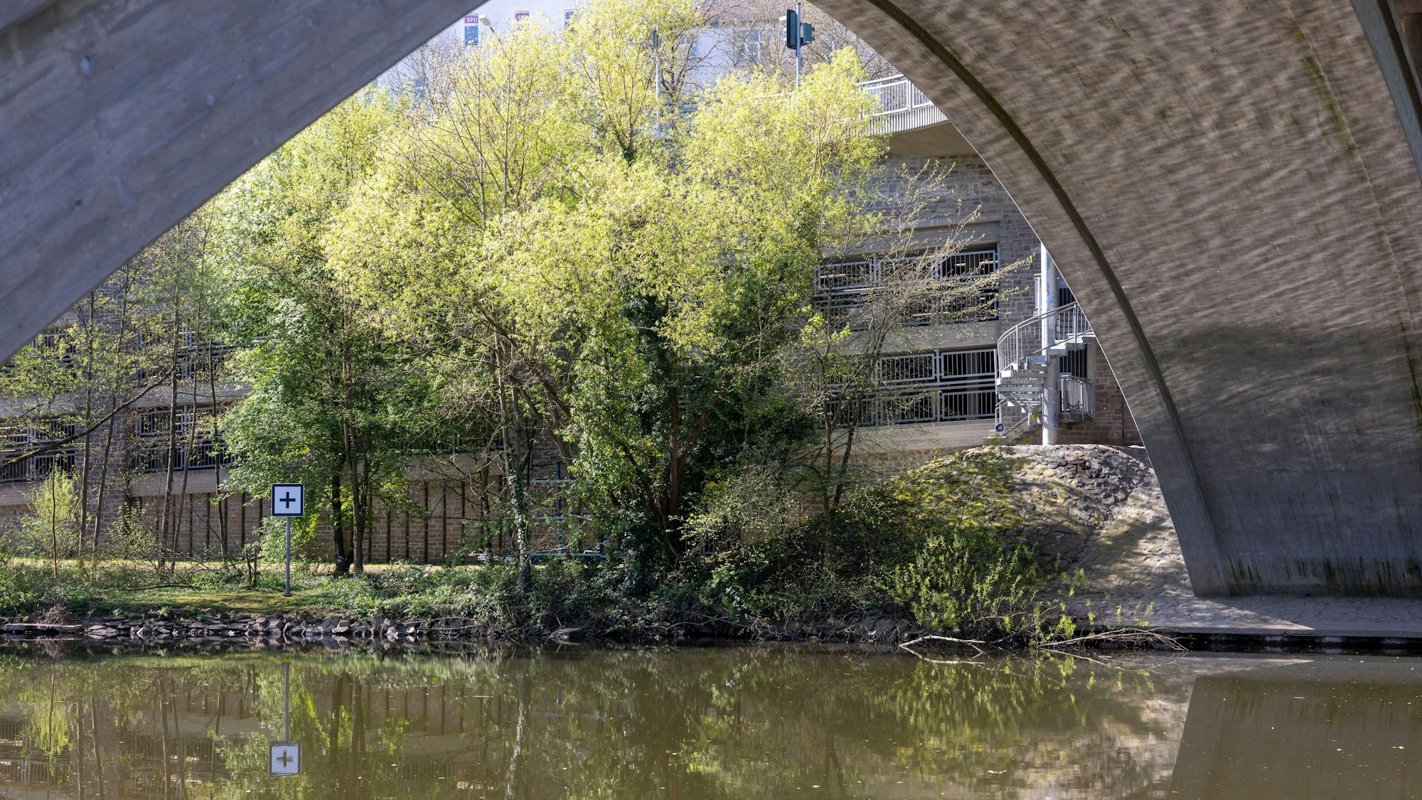 Ein Gebüsch an der Oberlahnbrücke.