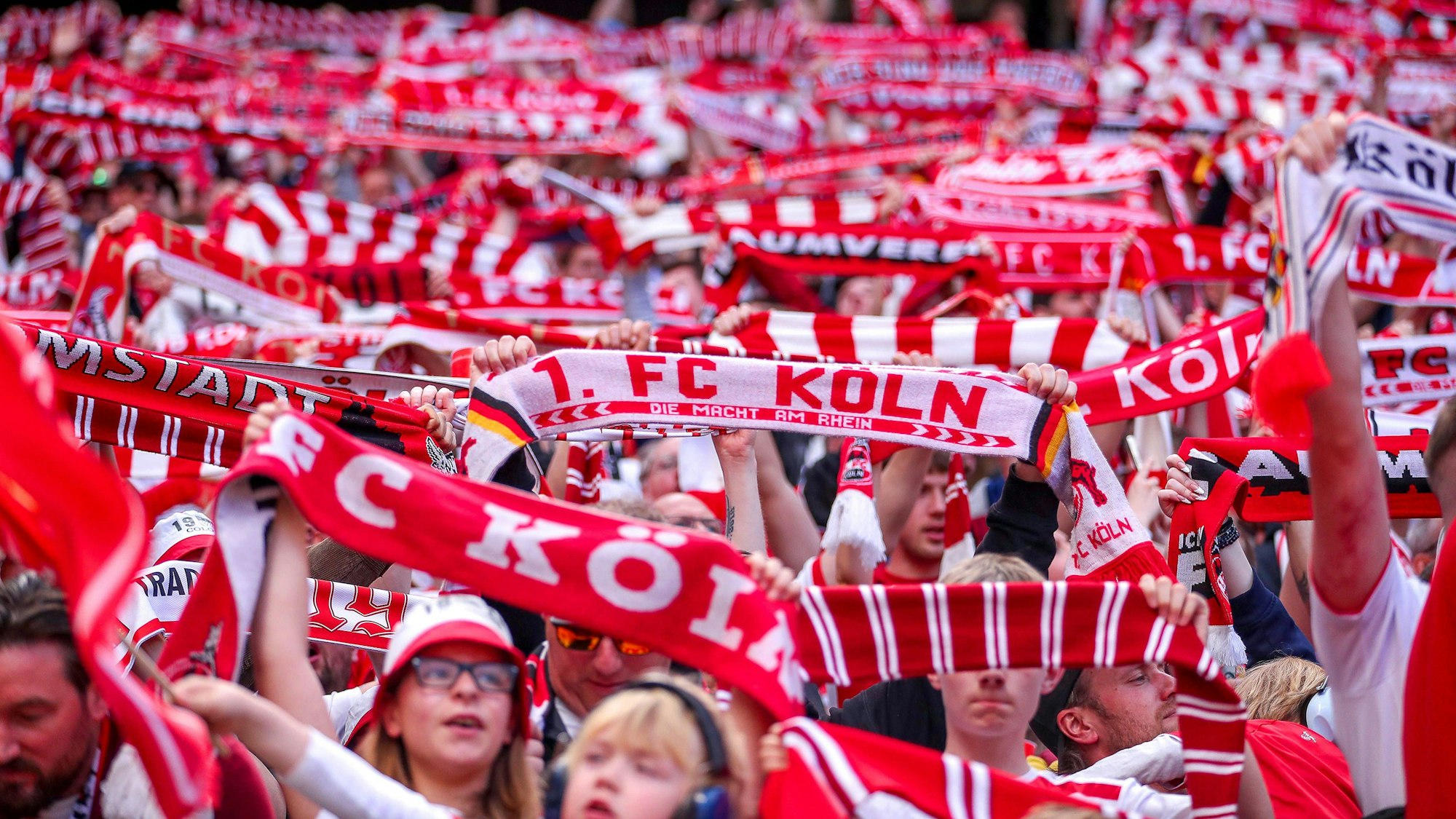 Fans vom FC köln singen die Hymne und halten Schals in die Höhe.
