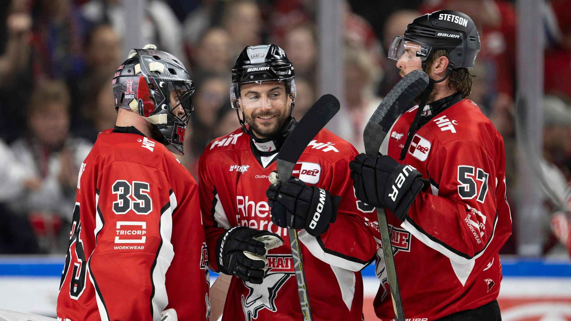 Das Foto zeigt Spieler der Kölner Haie beim während eines Play-Off-Halbfinales gegen den ERC Ingolstadt Anfang April. Foto: xBEAUTIFULxSPORTS/AndreasxDickx / IMAGO/Beautiful Sports