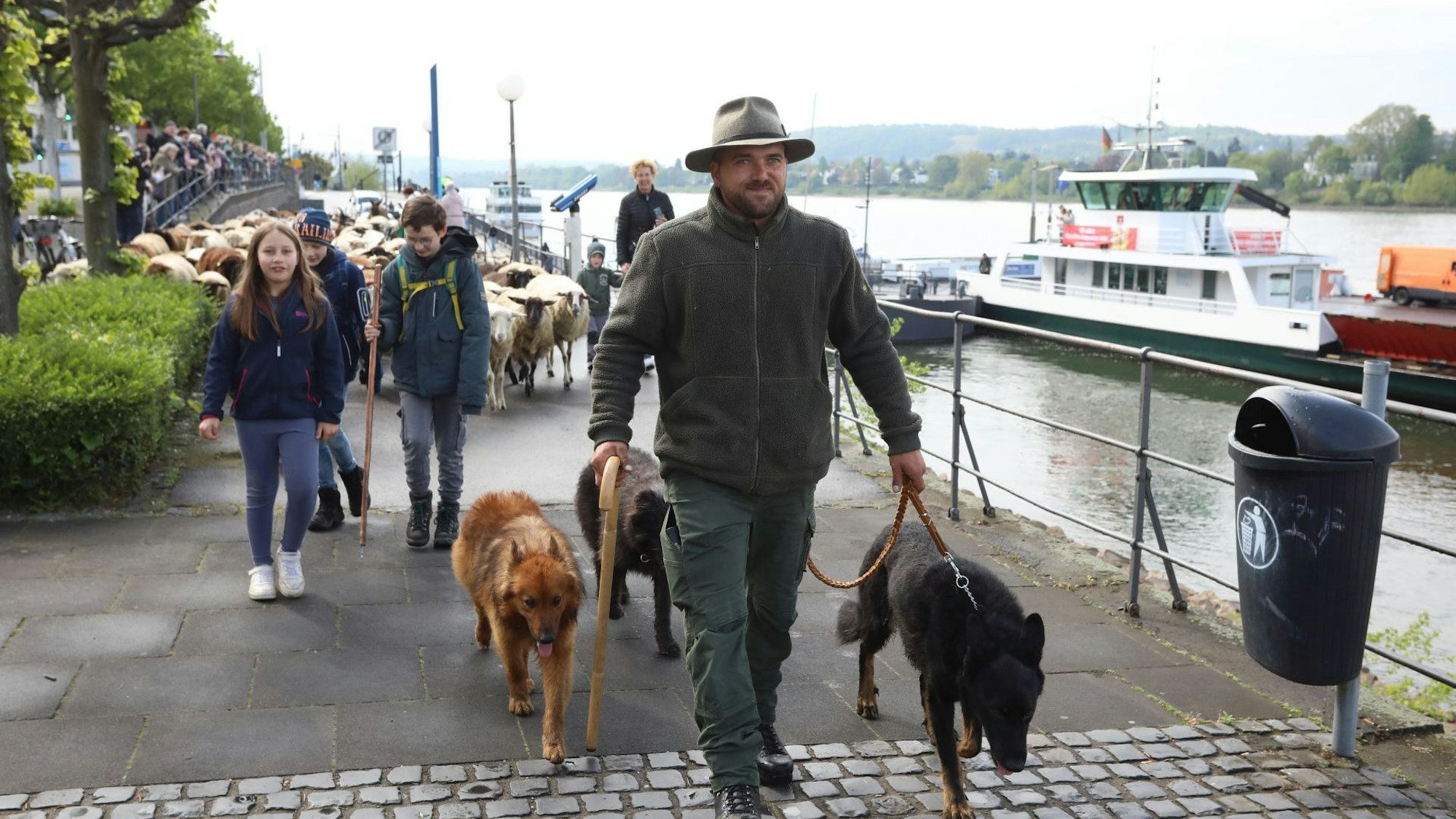 Ein Mann mit drei Hunden, im Hintergrund die Rheinfähre Königswinter.