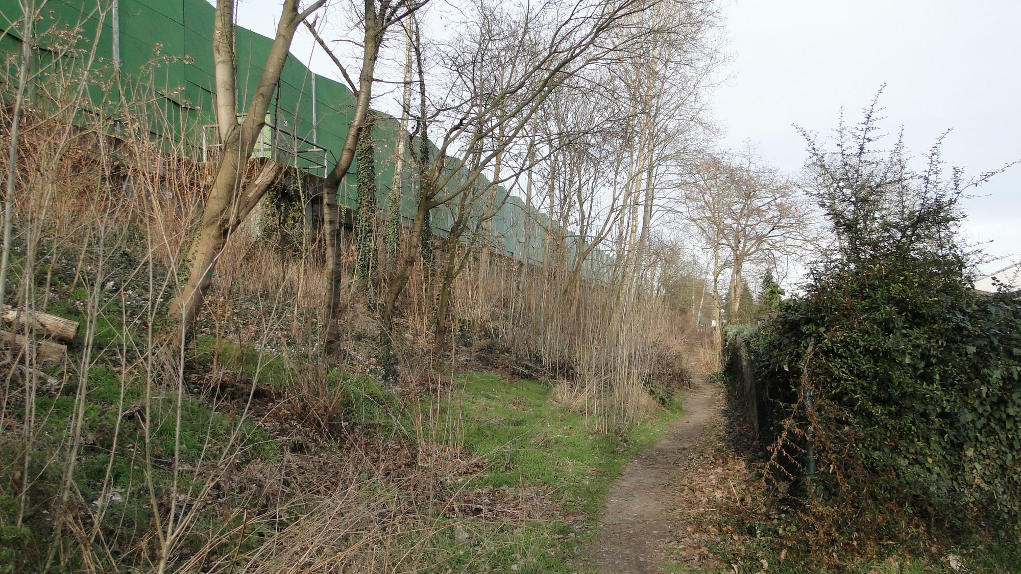 Ein Trampelpfad führt zu einer Brücke, die hinter Gebüsch zu sehen ist.