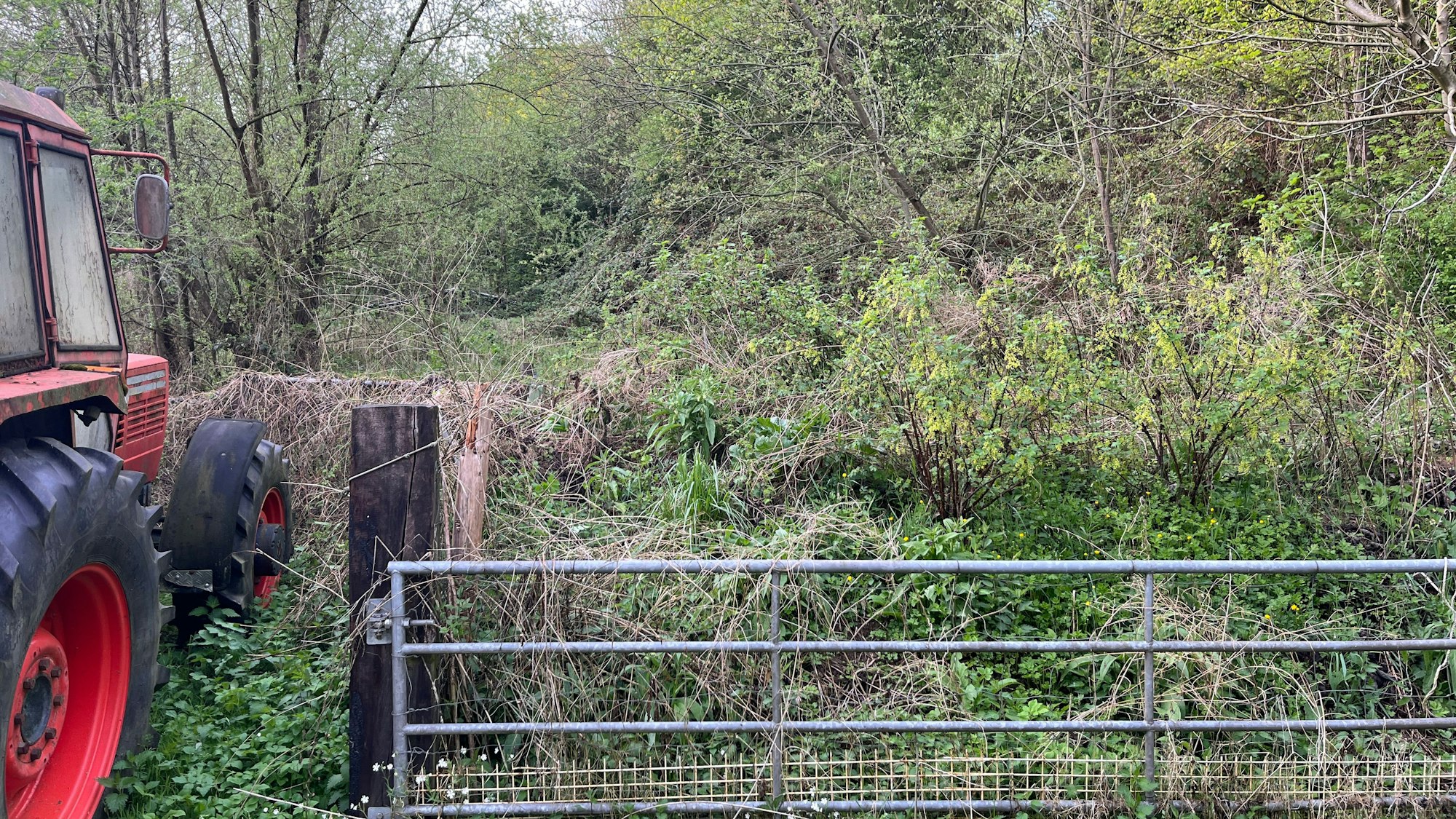 In dieser Schlucht im Oberdorf von Bröl war ein Bunker in den Hang gegraben.