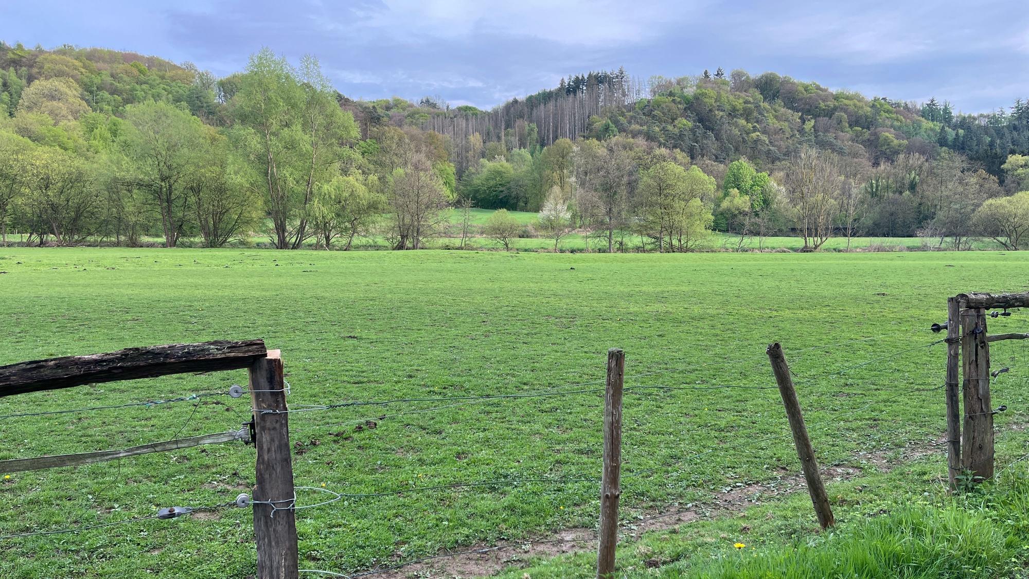 Über diese Wiese fuhren Jeeps, Kettenfahrzeuge und Lastwagen in Richtung Bröl.