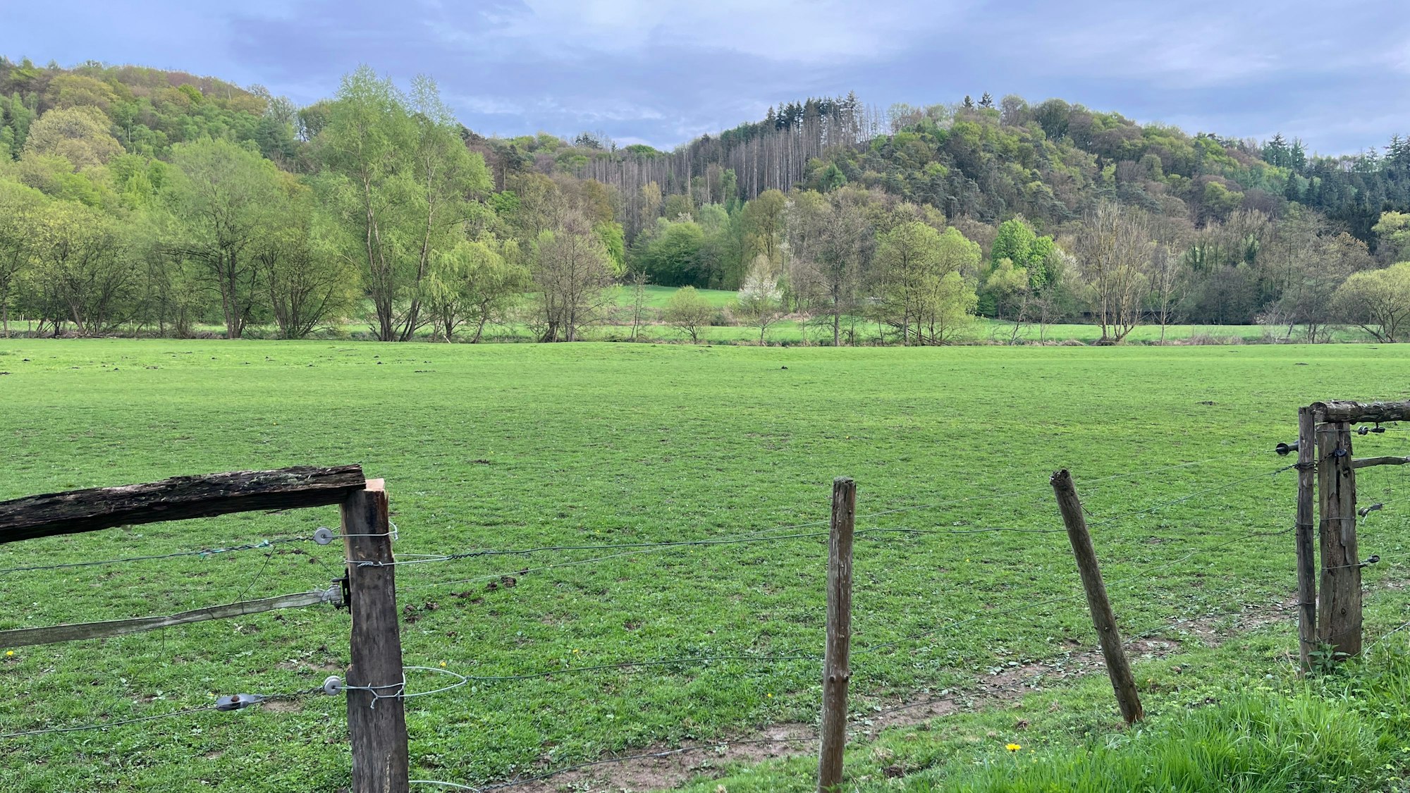 Über diese Wiese fuhren Jeeps, Kettenfahrzeuge und Lastwagen in Richtung Bröl.