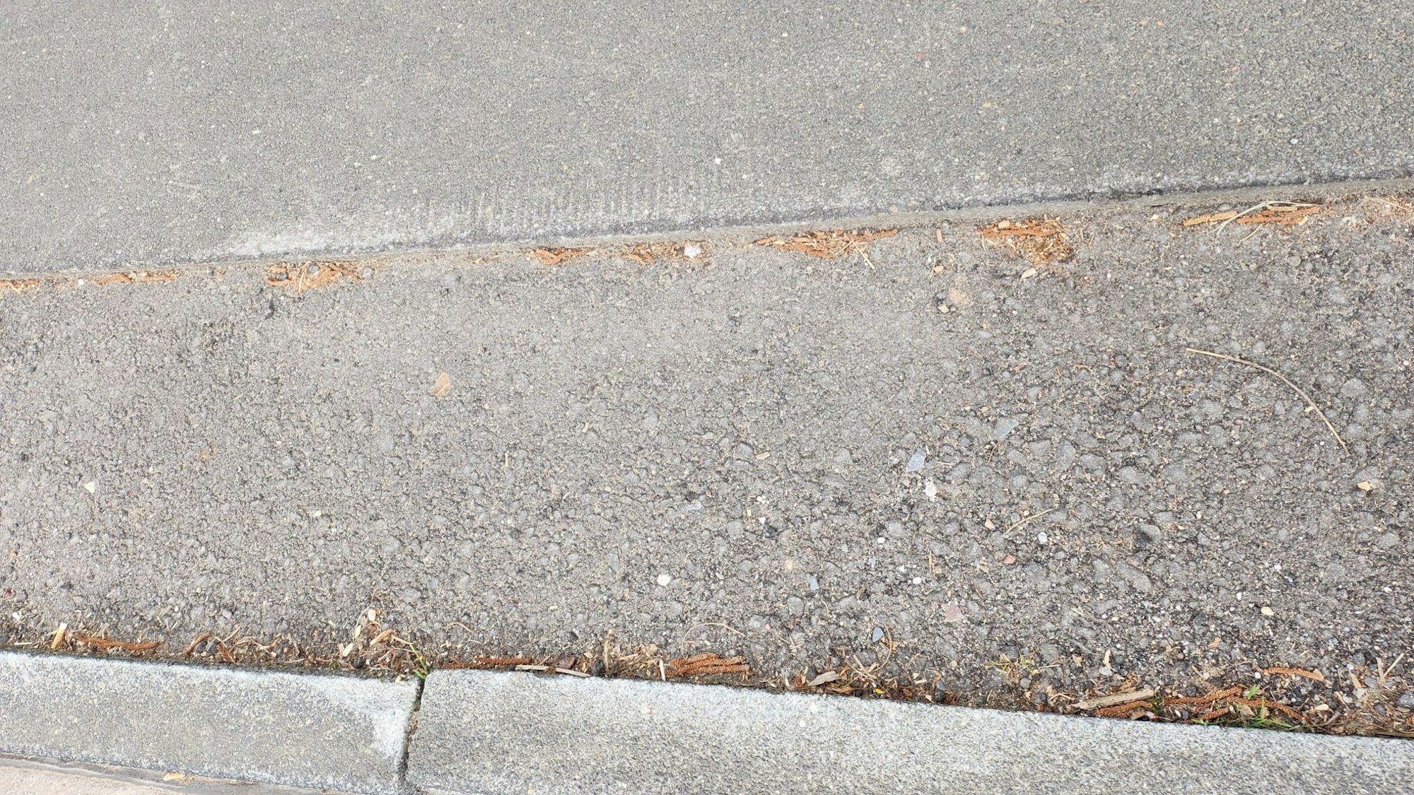 An der Bushaltestelle in Rothenberg gibt es eine Stolperkante.