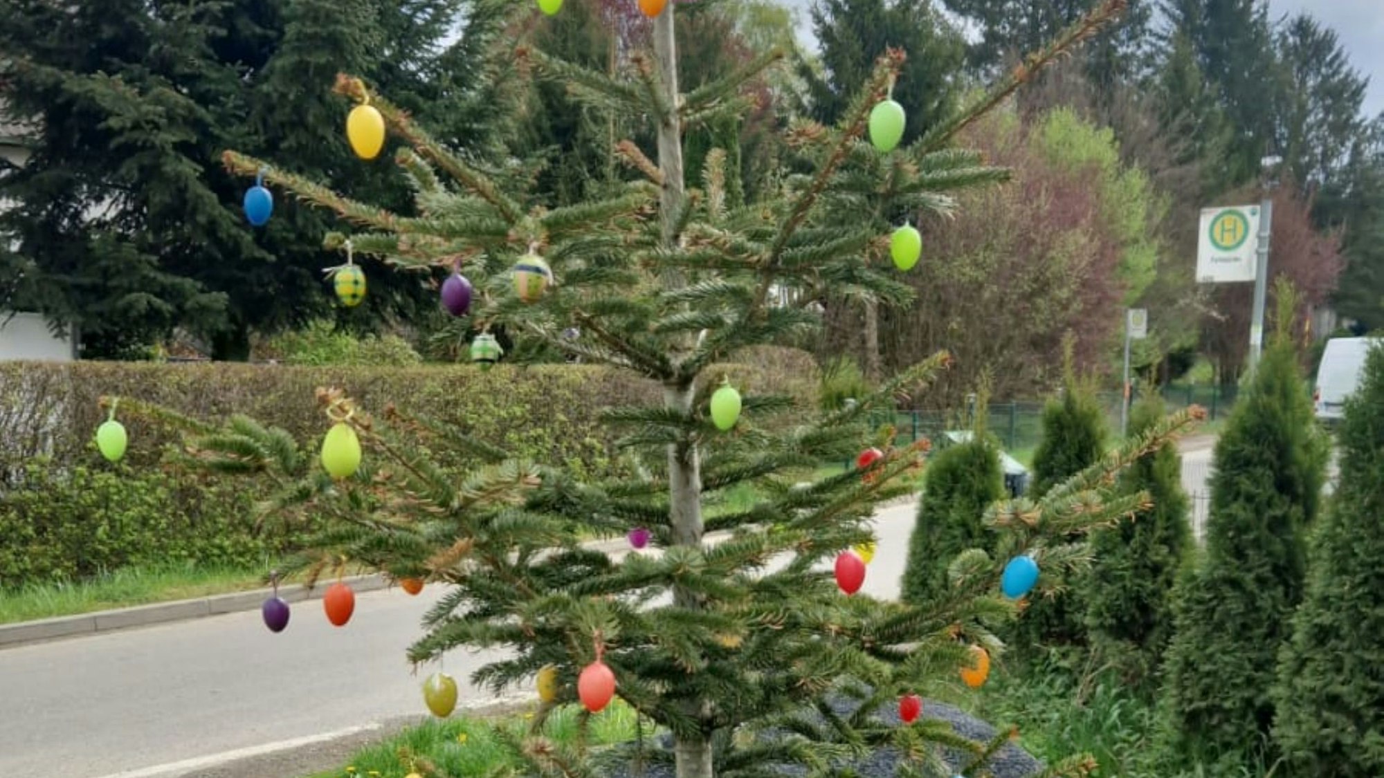 In Wipperfürth-Peffekoven hat die Nachbarschaft den Weihnachtsbaum zum Osterbaum umfunktioniert.