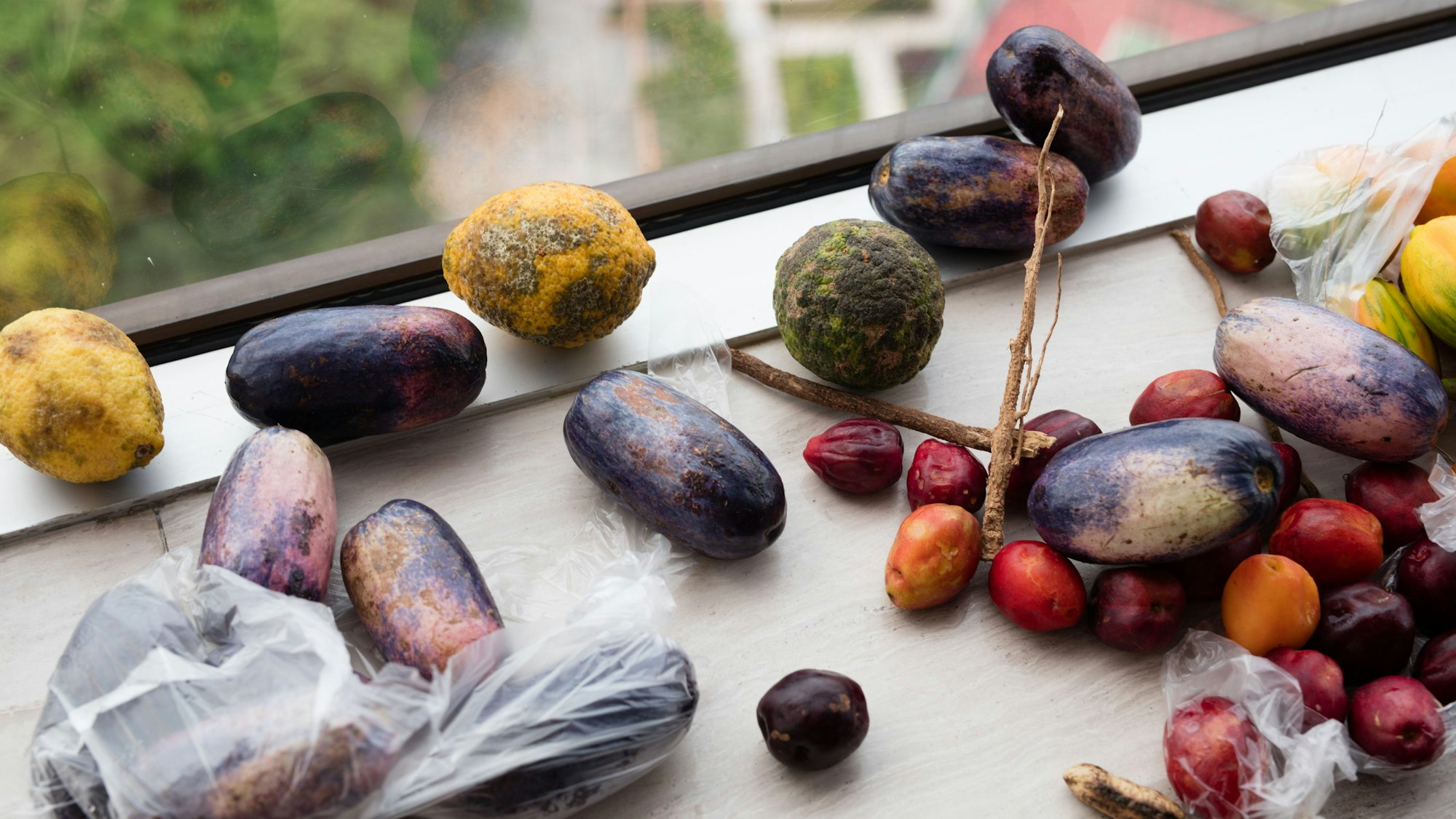 Obst liegt auf einer Fensterbank.