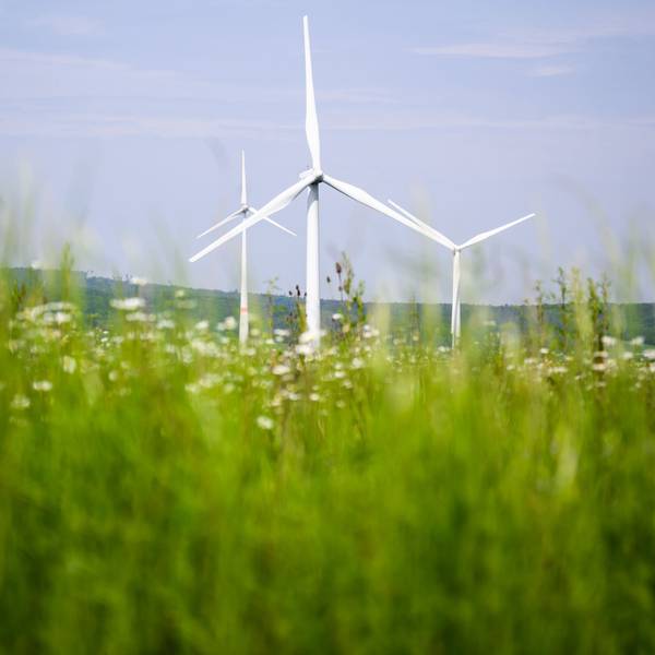 Windkraftanlagen auf einer Wiese.