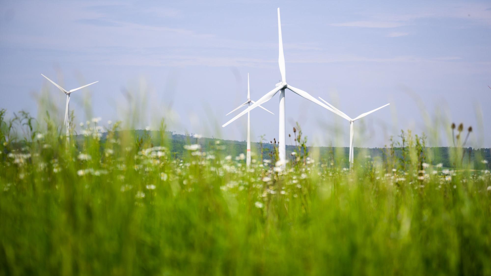 Windkraftanlagen auf einer Wiese.