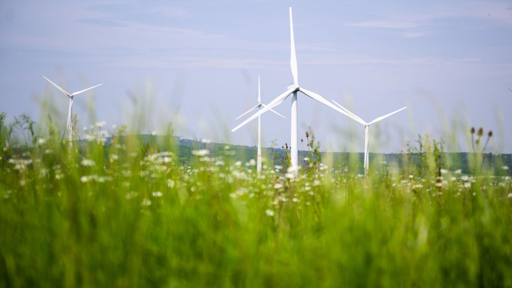 Windräder drehen sich auf einem Feld.