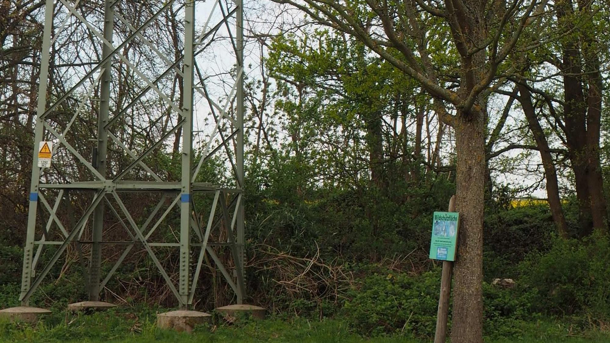 Ein Strommast links im Bild.