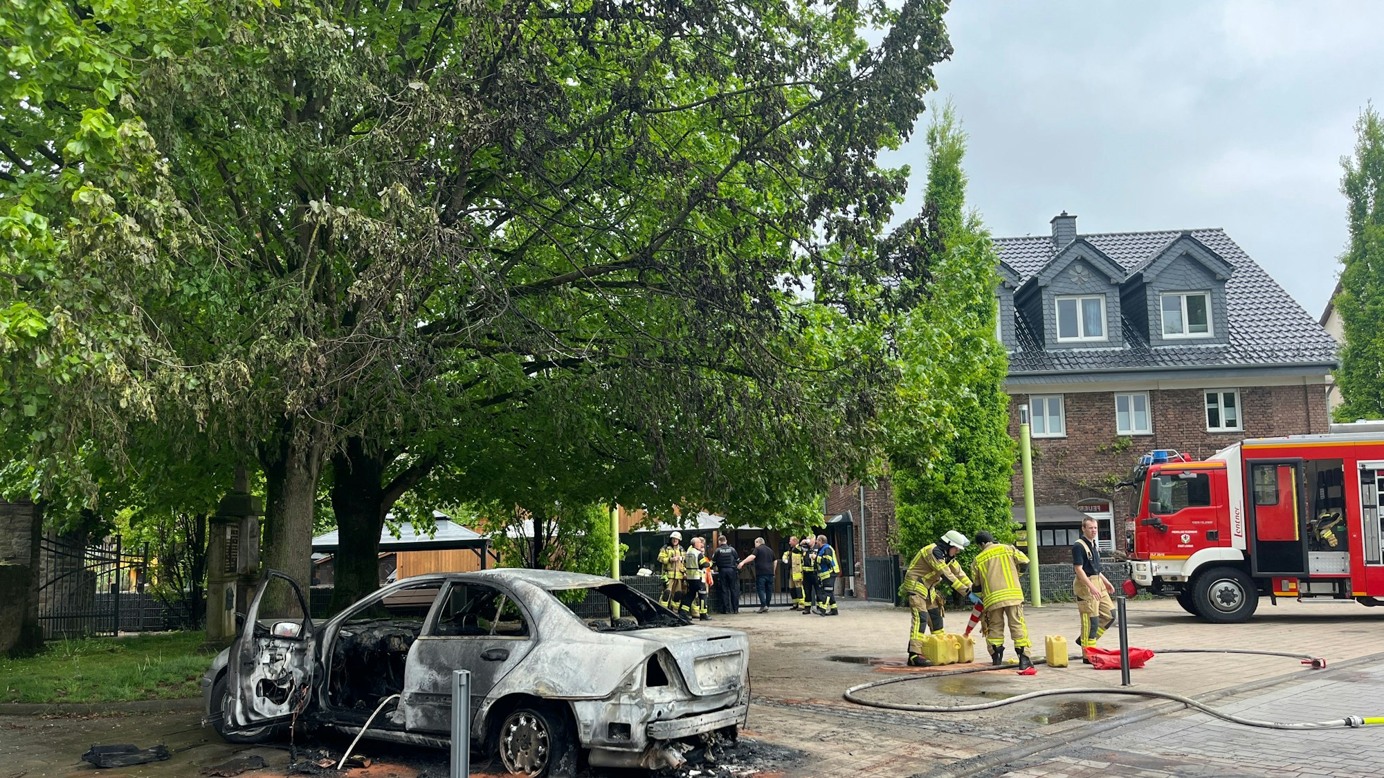 Deutlich sind die Brandspuren in dem Baum zu erkennen.