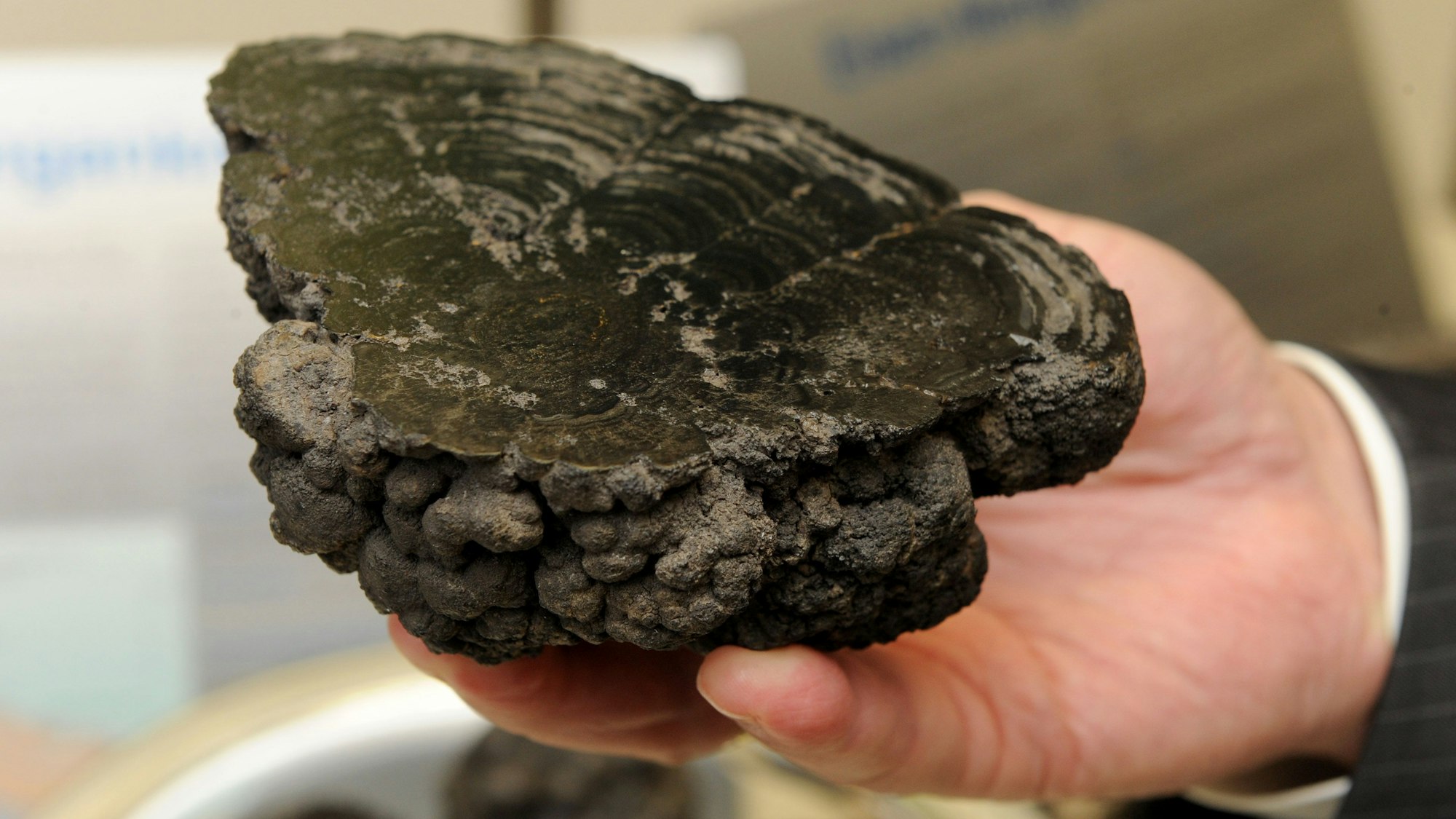 Im Rohstofflabor des Tiefseeforschungsschiffes «Sonne» sind Manganknollen zu sehen.