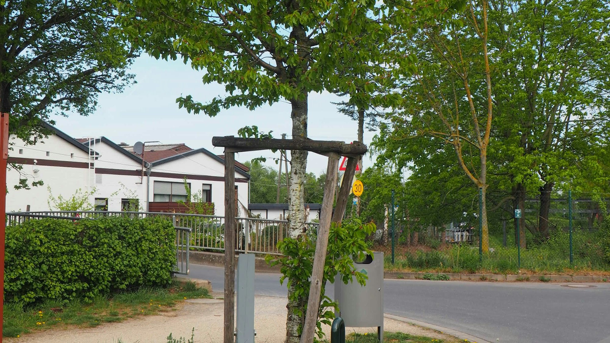 Ein Baum, im Hintergrund ist eine Brücke über den Kölner Randkanal zu sehen.