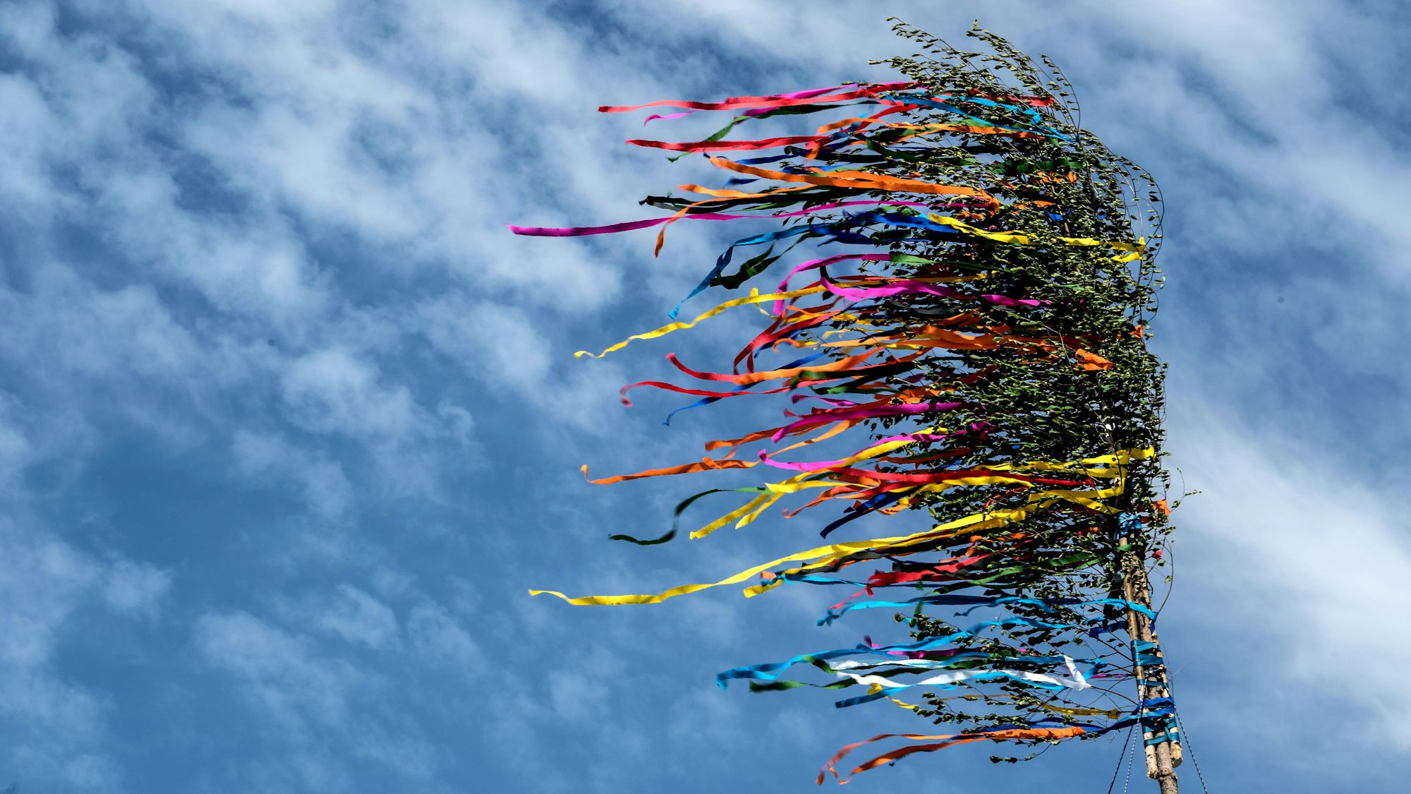 Bunte Bänder eines Maibaumes flattern vor dem blauen Himmel.