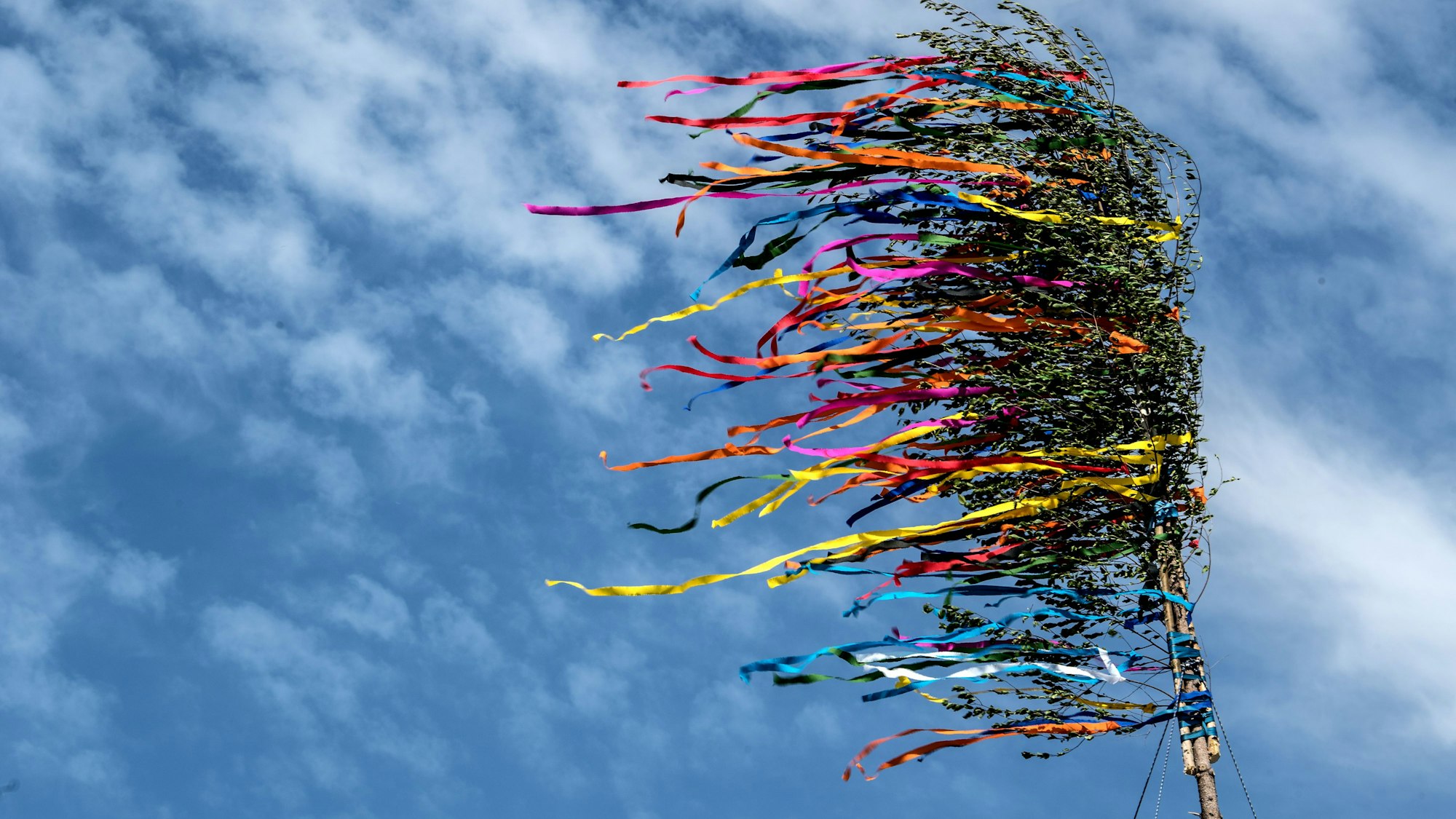 Viel besser geht es nicht: Ein stolzer Maibaum am Himmel über Köln, weithin sichtbar.