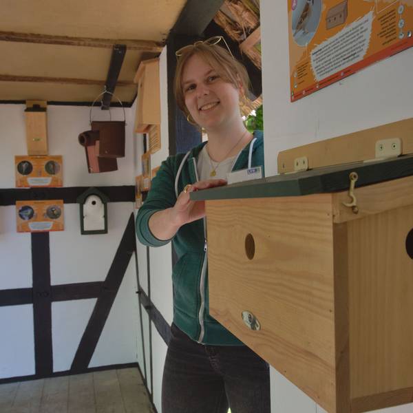 dbo - 17349, Lindlar, Lingenbacher Weg, Nordtor LVR-Freilichtmuseum: PK neue
Outdoor-Ausstellung "Biologische Vielfalt bergischer Insekten und Brutvögel
Carolin Gilgenbach