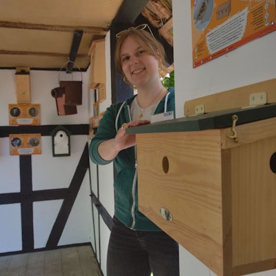 dbo - 17349, Lindlar, Lingenbacher Weg, Nordtor LVR-Freilichtmuseum: PK neue
Outdoor-Ausstellung "Biologische Vielfalt bergischer Insekten und Brutvögel
Carolin Gilgenbach