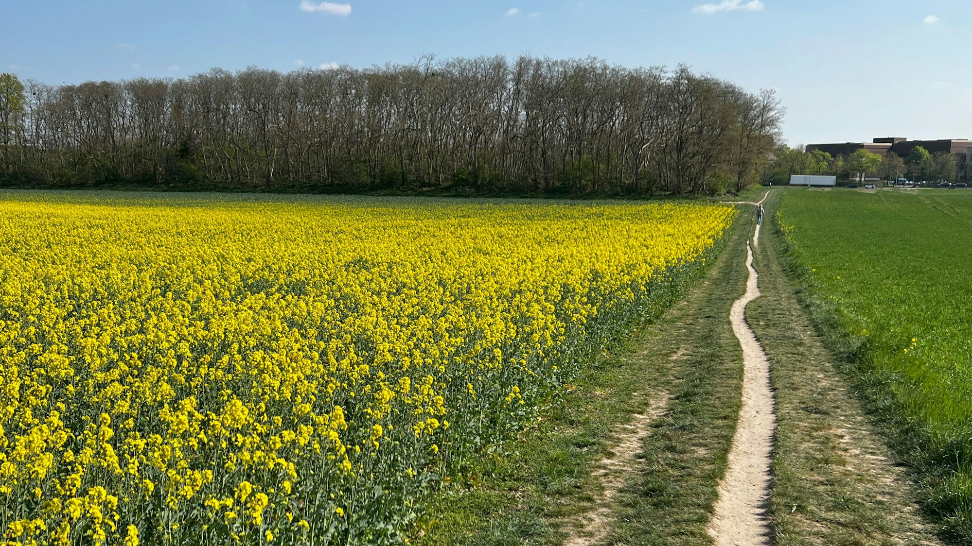 Monheim: Auf diese Felder will Bayer 04 sein Trainingszentrum / Trainingscampus an der Alfred Nobel Straße bauen. Foto: Ralf Krieger