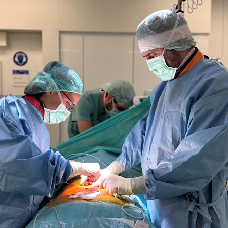 Operation an der Wirbelsäule in der Uniklinik Köln