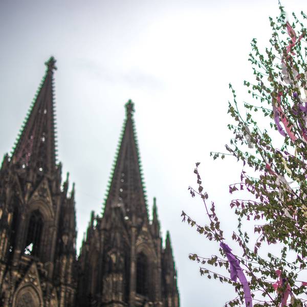 Selbstverständlich ist es auch möglich, seiner geliebten Heimatstadt einen Maibaum zu stellen. Hier steht ein Exemplar vor dem Kölner Dom.