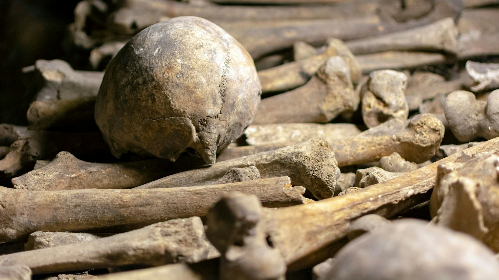 Ein Schädel und Knochen in den Katakomben von Paris.