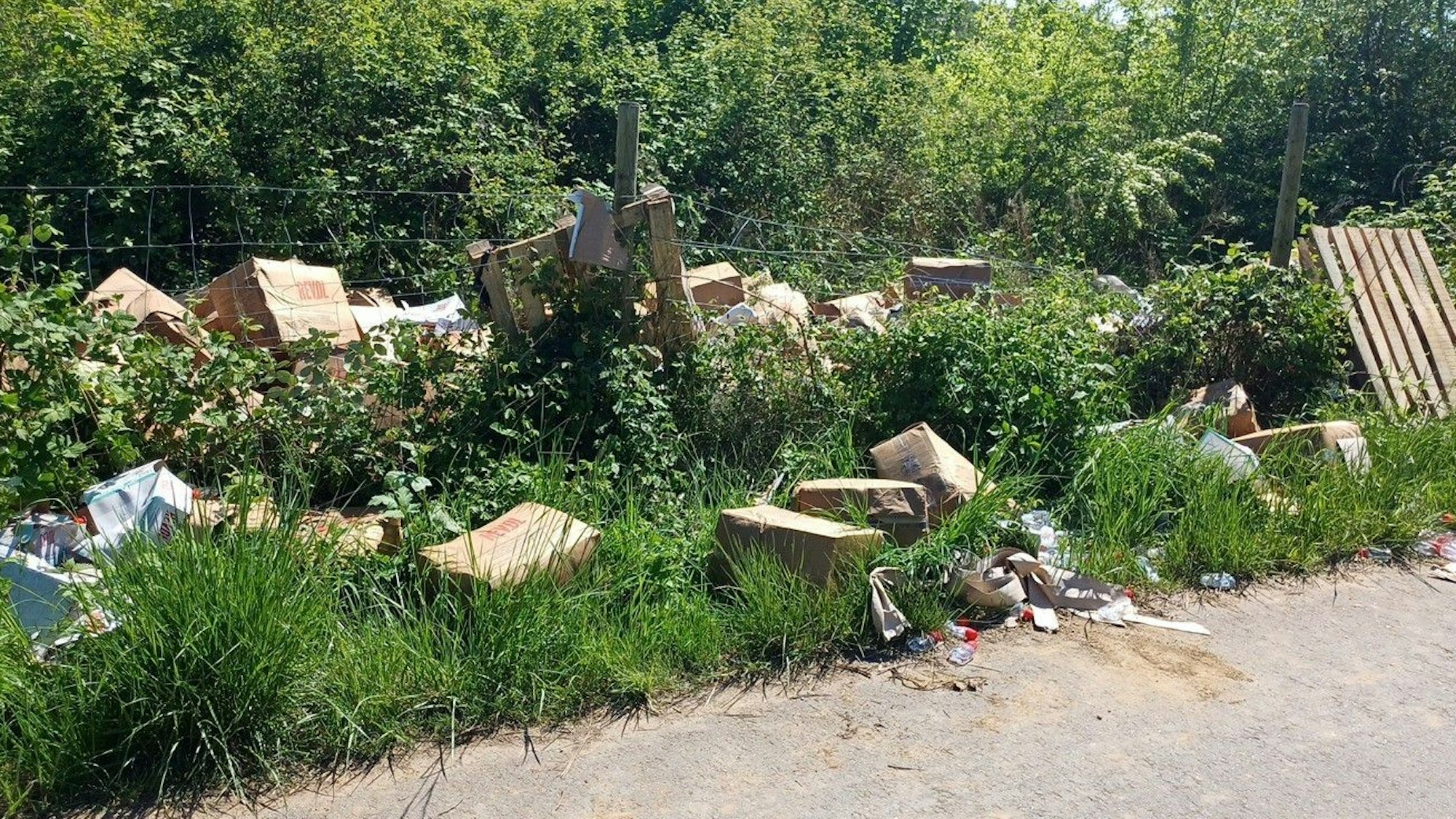 Kartons und Paletten liegen im Grünstreifen am Rande einer Straße.