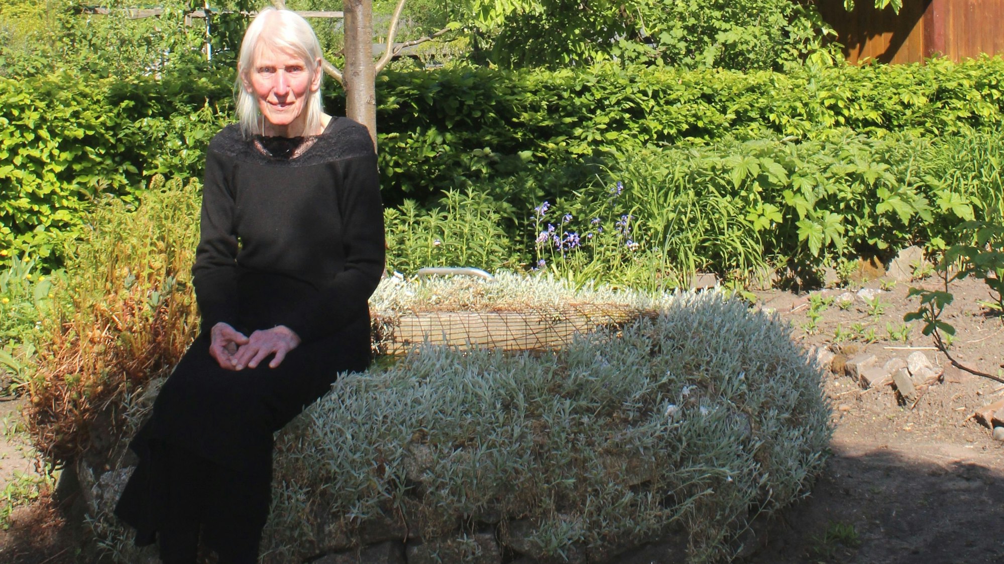 Zu sehen ist Adelheid Kegler, die in ihrem Garten auf einer Mauer sitzt und in die Kamera schaut. Das Foto ist aktuell.