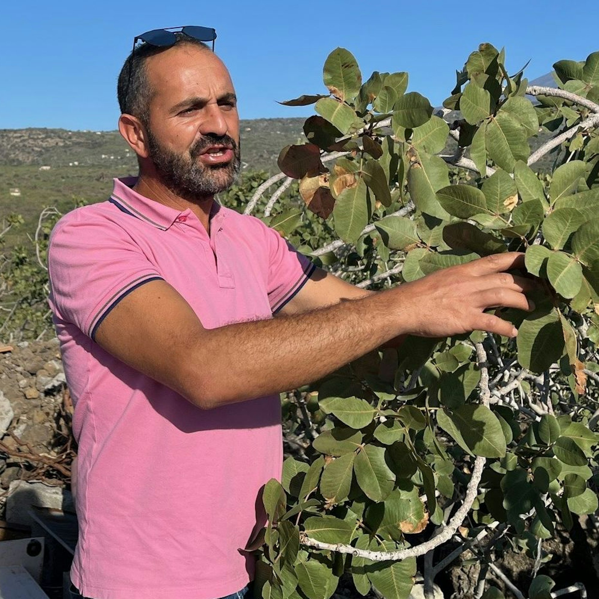 Gianluca Russo baut in Bronte/Sizilien die Pistazien an, die Nunzio Orefice und seine Frau Stephanie in Deutschland vermarkten.