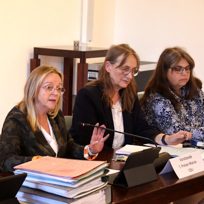 Sabine Preiser-Marian während ihrer Rede im Stadtrat.