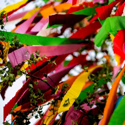 Das Bild zeigt einen Maibaum.