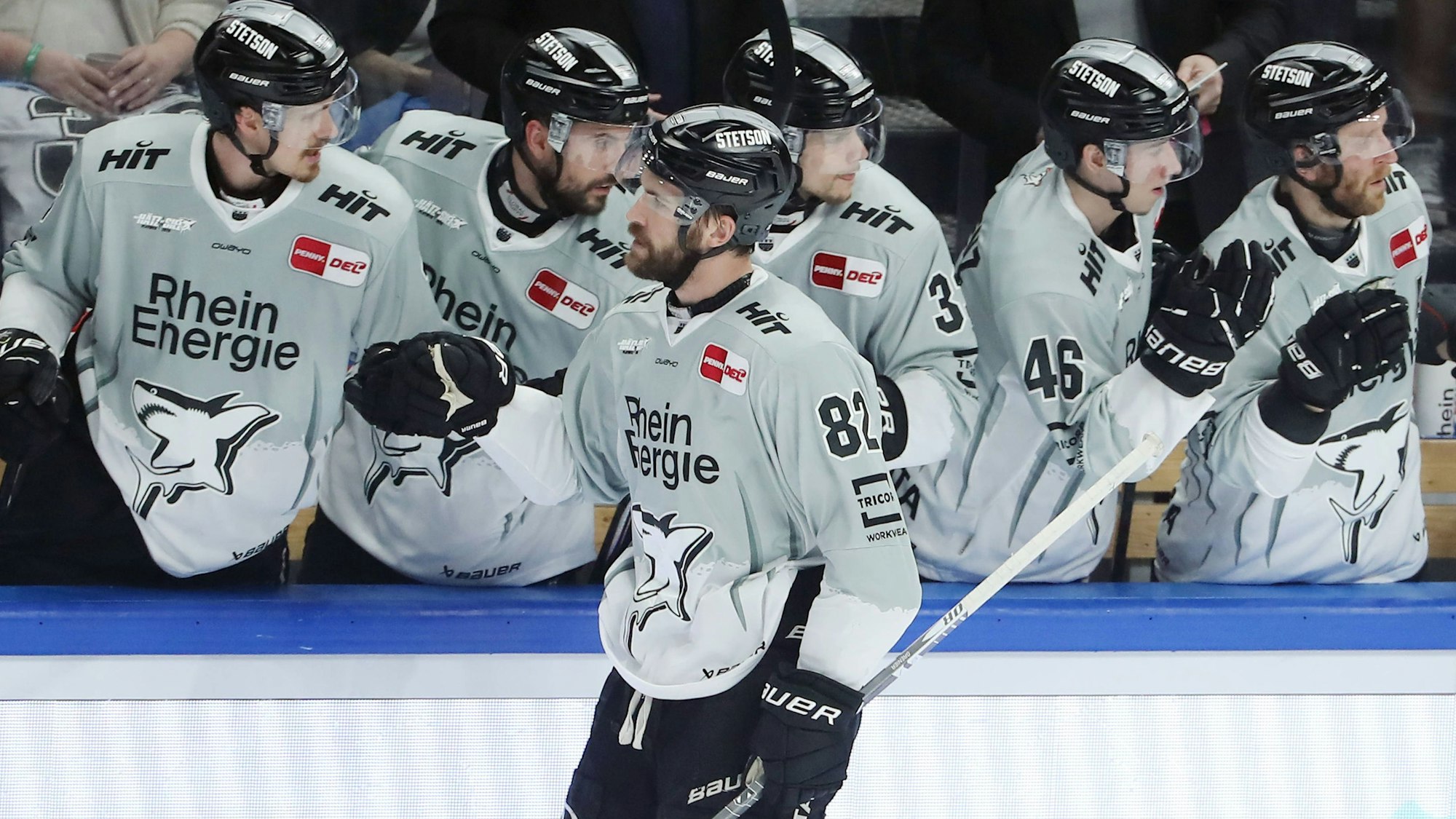Alexandre Grenier wird dem Kader der Kölner Haie in der neuen Saison nicht mehr angehören.