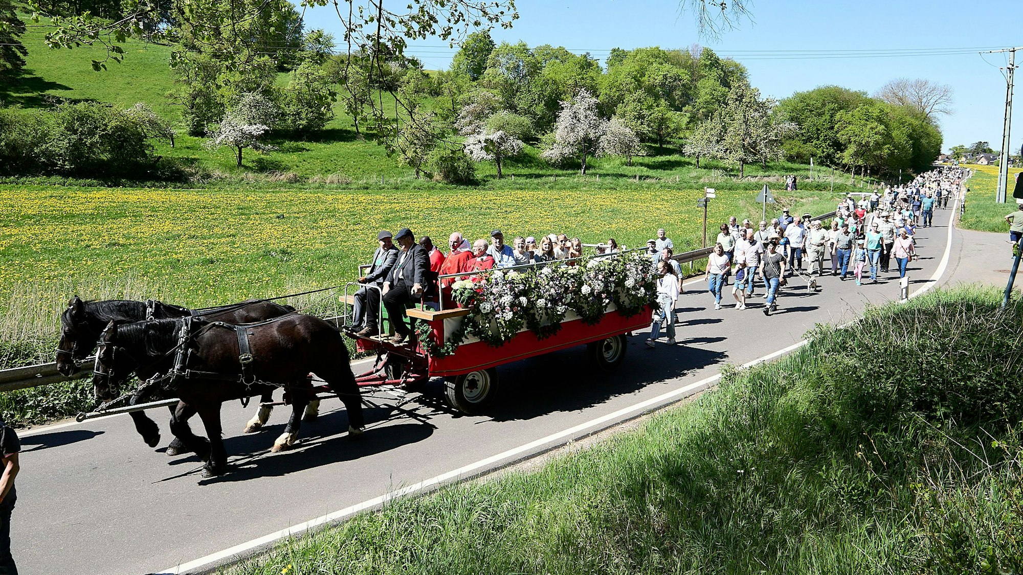 Ein roter Wagen, der von zwei schwarzen Pferden gezogen wird, zieht vor einem Zug Menschen über eine Straße, drumherum sind grüne Hügel und Bäume zu sehen.