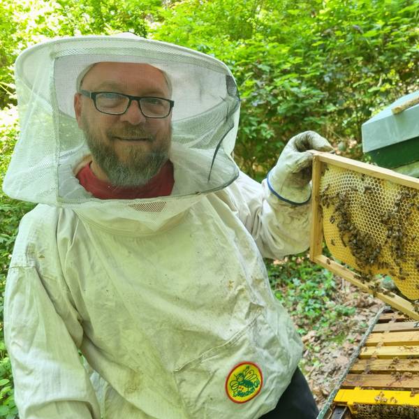 Thomas Bihlmann zeigt die Waben, die seine Bienen bereits gebaut haben.